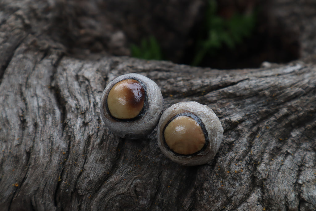 Dry Preserved Coyote Eyeballs