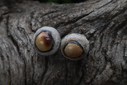 Dry Preserved Coyote Eyeballs