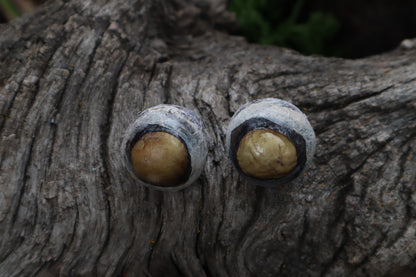 Dry Preserved Bobcat Eyeballs