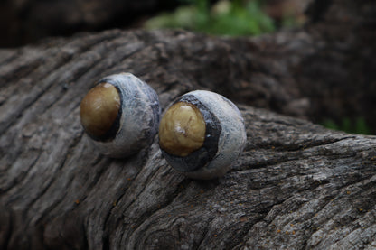 Dry Preserved Bobcat Eyeballs