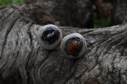 Dry Preserved Bobcat Eyeballs