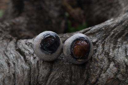 Dry Preserved Bobcat Eyeballs