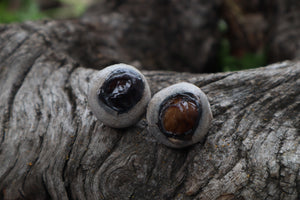 Dry Preserved Bobcat Eyeballs