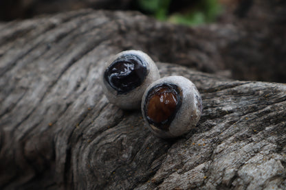 Dry Preserved Bobcat Eyeballs