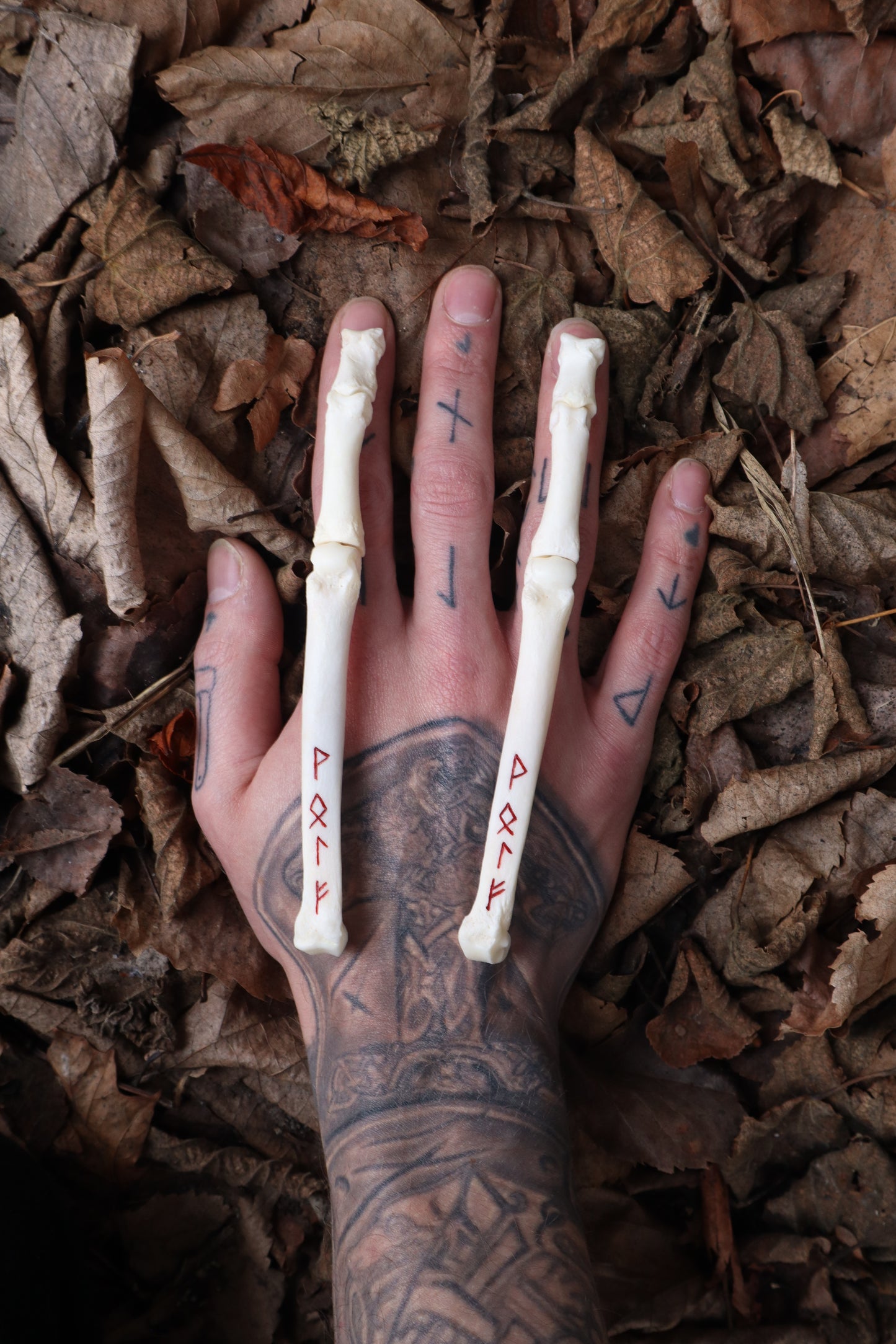 Gray Wolf Finger Articulation