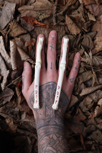 Gray Wolf Finger Articulation