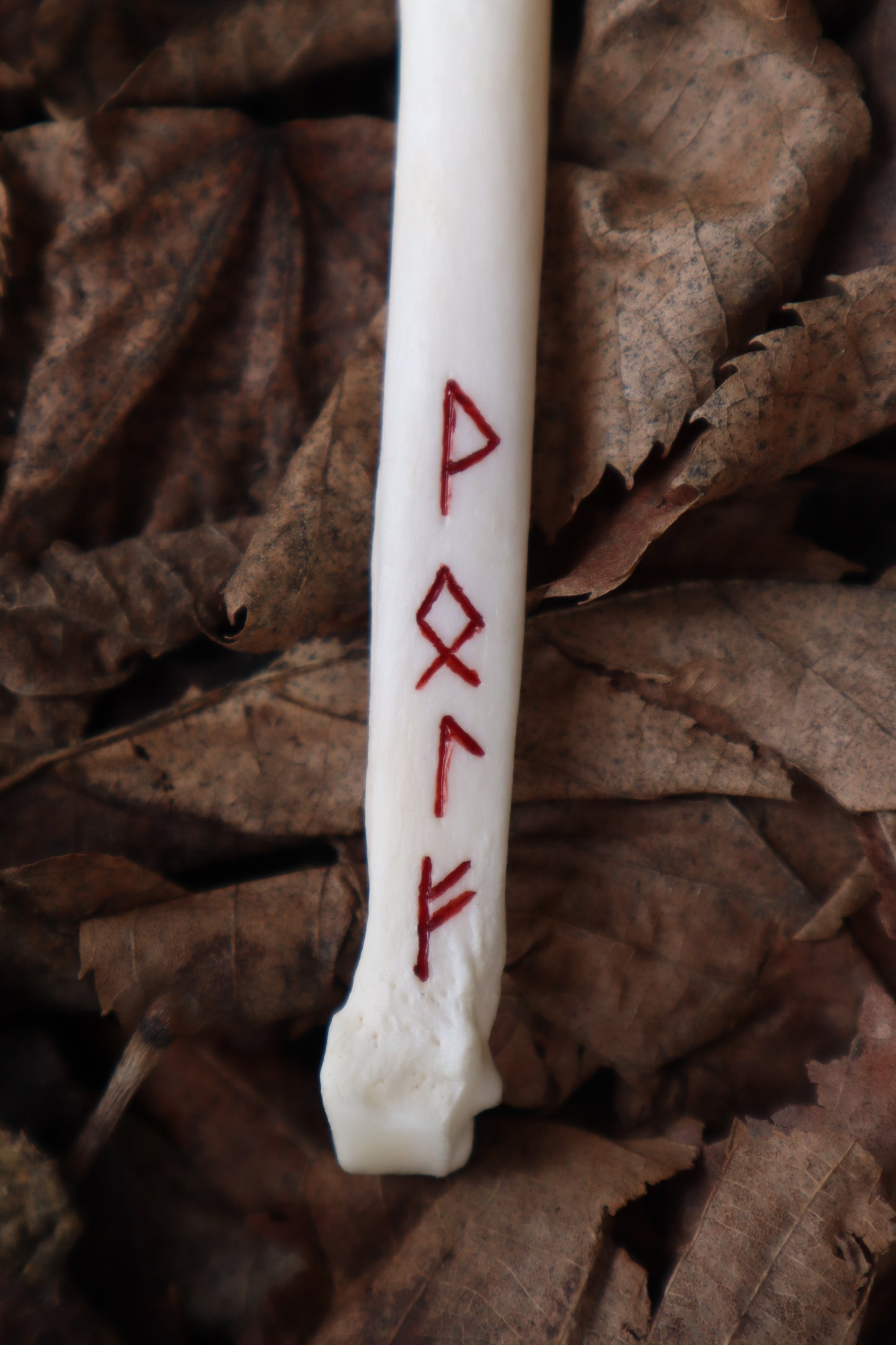 Gray Wolf Finger Articulation