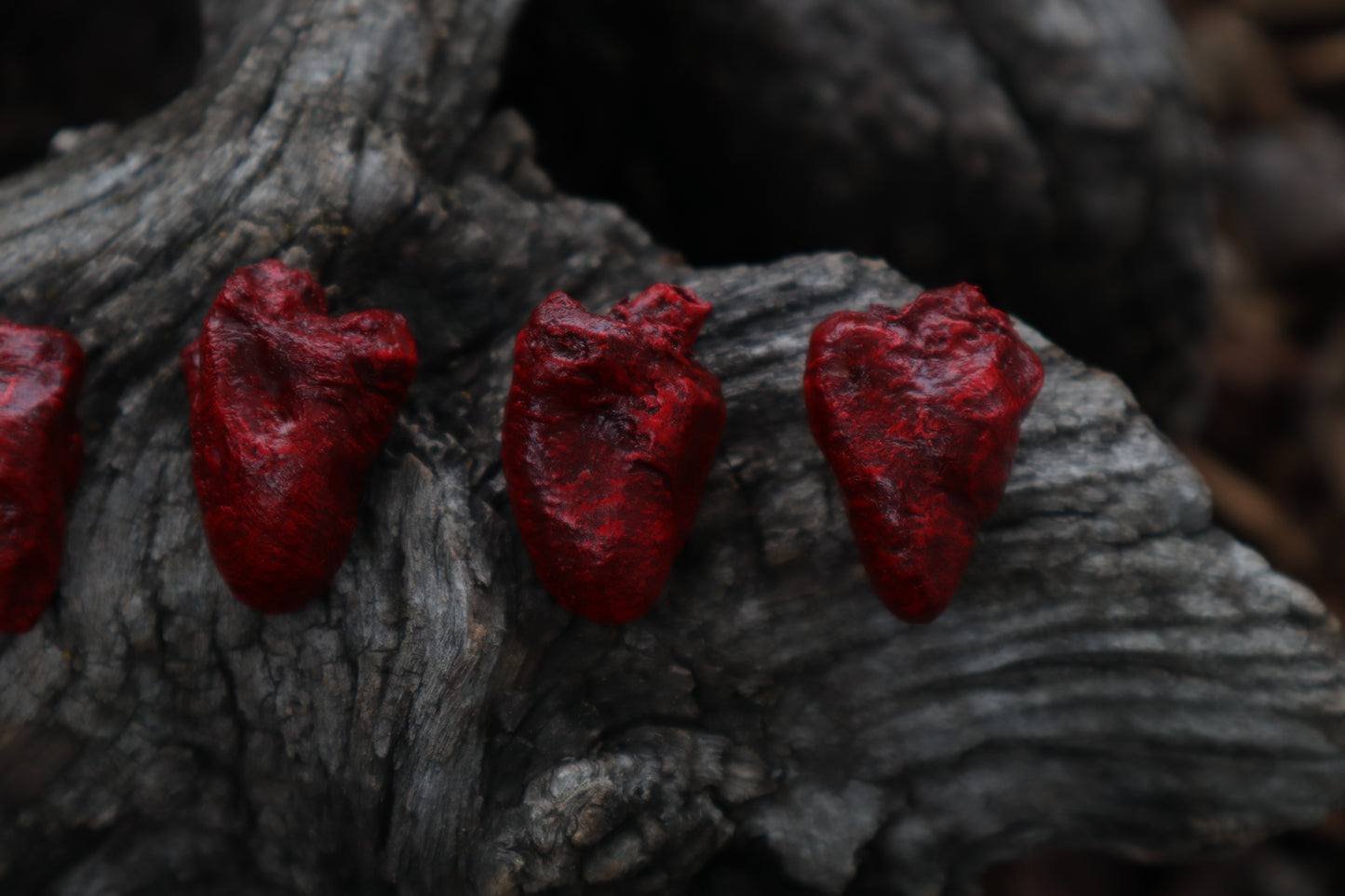Dry Preserved Chicken Heart