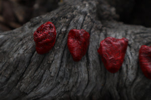 Reserved for Loki - Three Dry Preserved Chicken Hearts