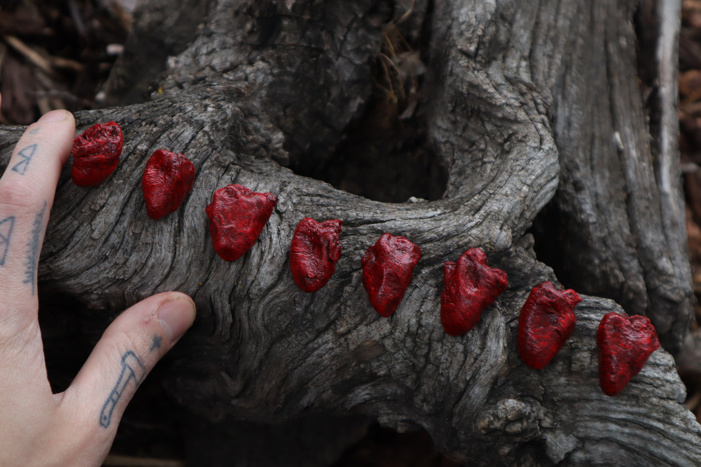 Dry Preserved Chicken Heart