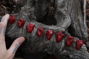 Reserved for Loki - Three Dry Preserved Chicken Hearts