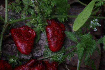 Reserved for Loki - Three Dry Preserved Chicken Hearts