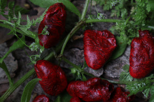 Reserved for Loki - Three Dry Preserved Chicken Hearts