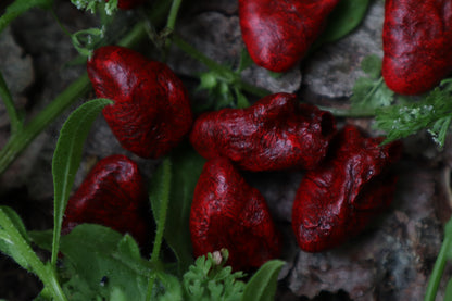 Dry Preserved Chicken Heart