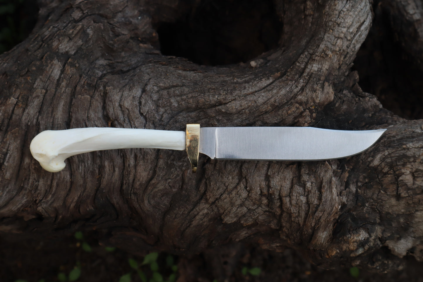 Domestic Cat Humerus Athame