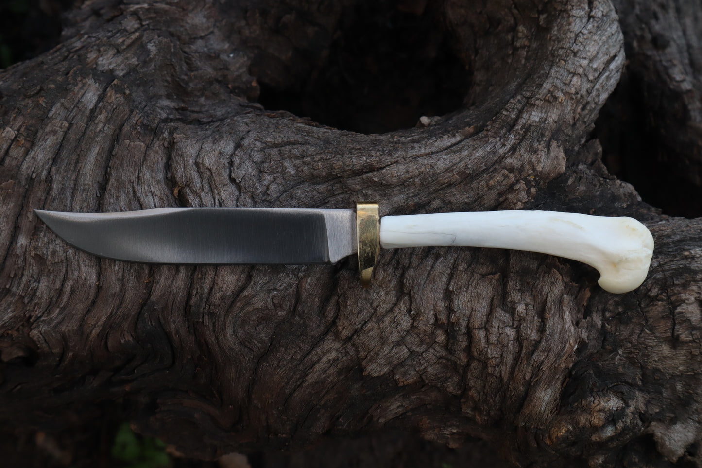 Domestic Cat Humerus Athame
