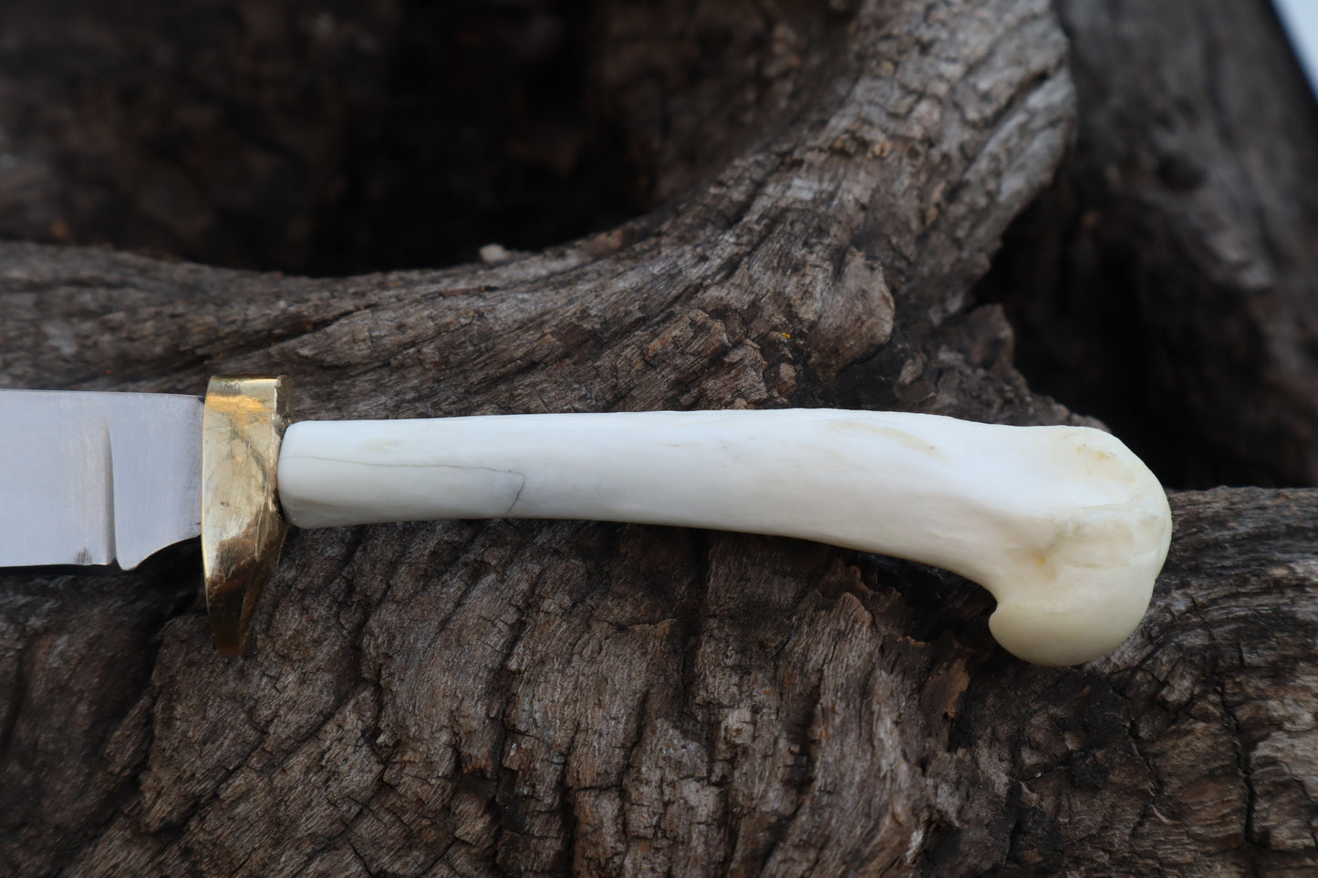 Domestic Cat Humerus Athame