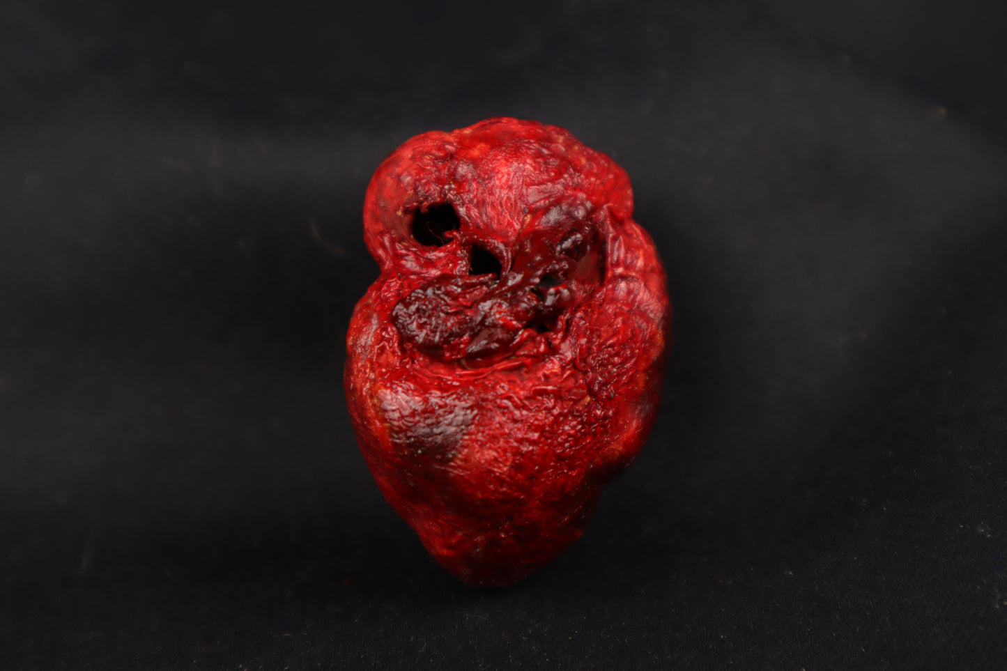 Dry Preserved Bobcat Heart