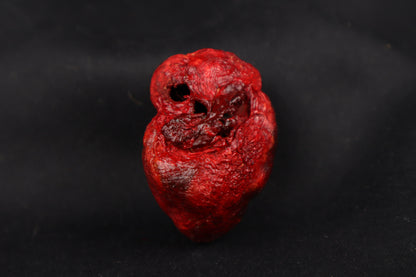 Dry Preserved Bobcat Heart