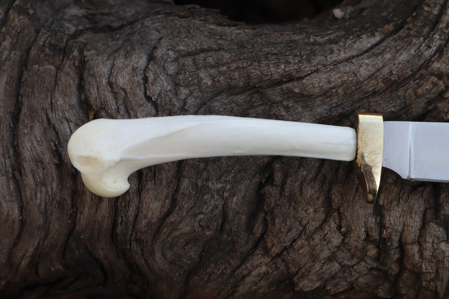Domestic Cat Humerus Athame