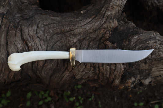 Domestic Cat Humerus Athame
