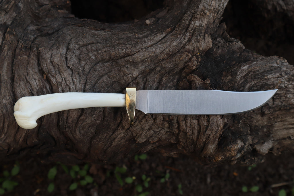 Domestic Cat Humerus Athame