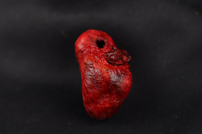 Dry Preserved Bobcat Heart