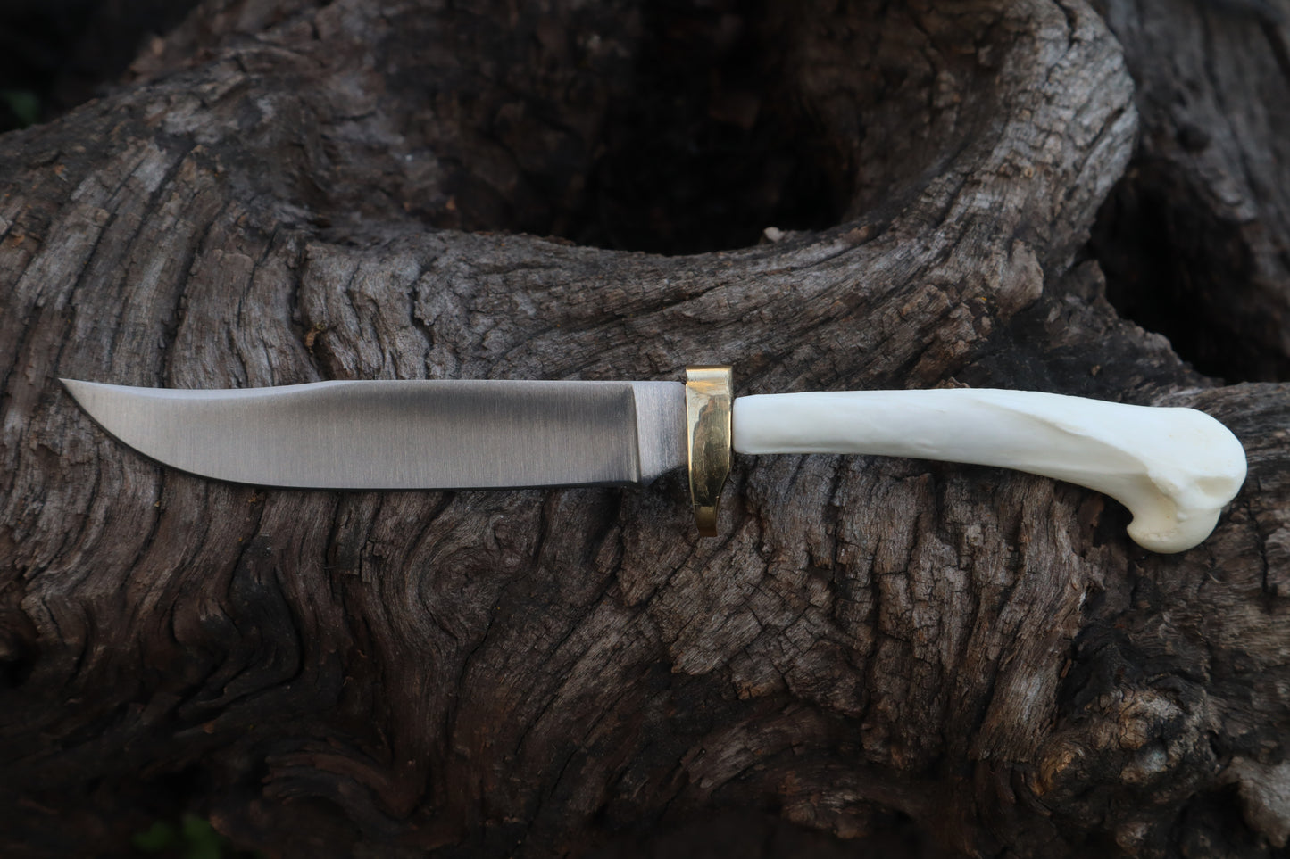 Domestic Cat Humerus Athame