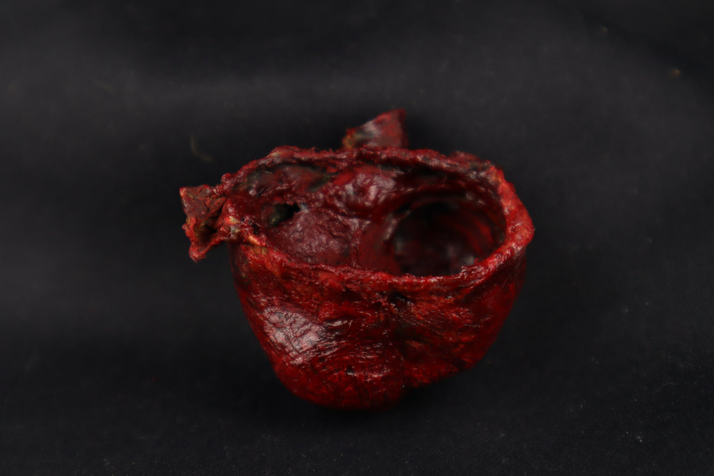Dry Preserved Bobcat Heart