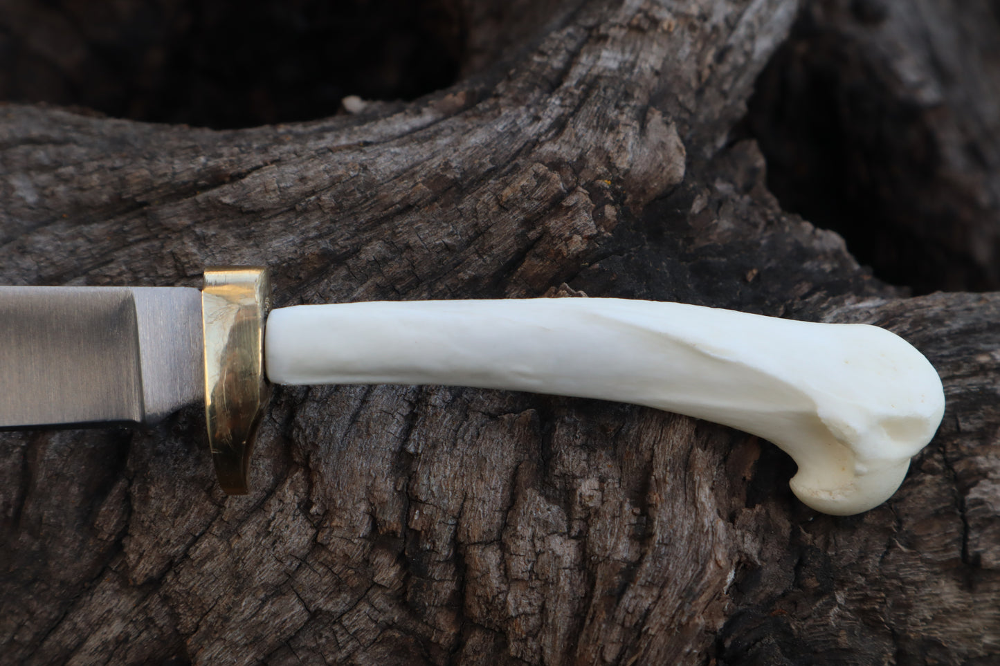 Domestic Cat Humerus Athame