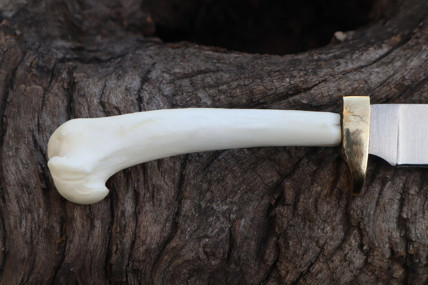 Domestic Cat Humerus Athame