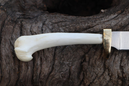 Domestic Cat Humerus Athame