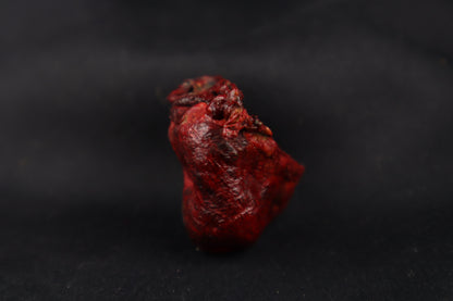 Dry Preserved Bobcat Heart