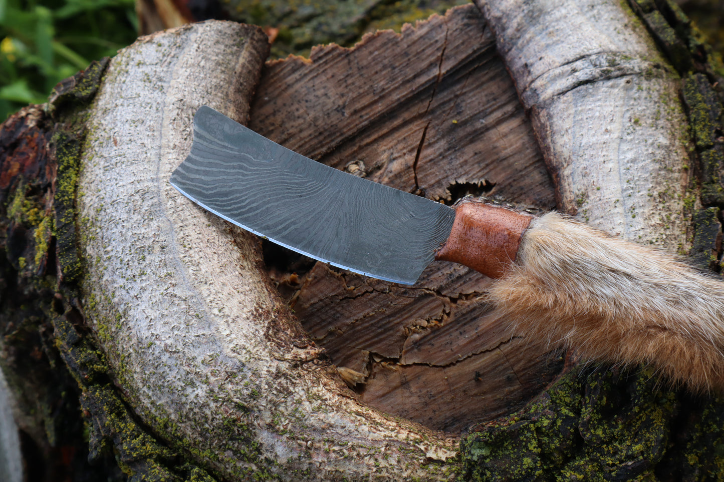 Damascus Red Fox Paw Cleaver