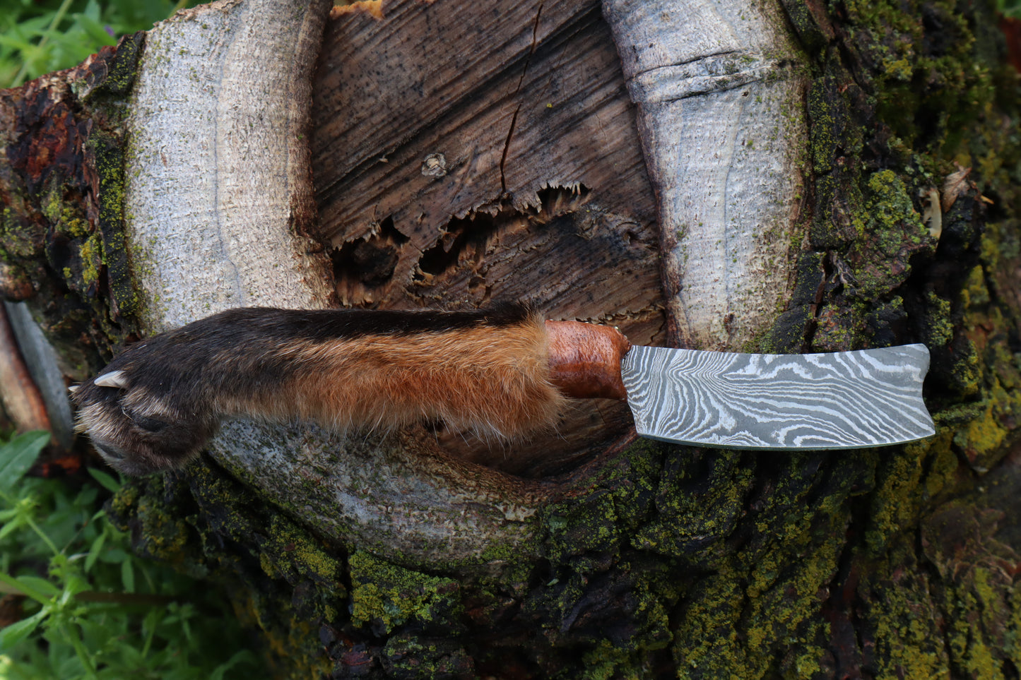 Damascus Red Fox Paw Cleaver