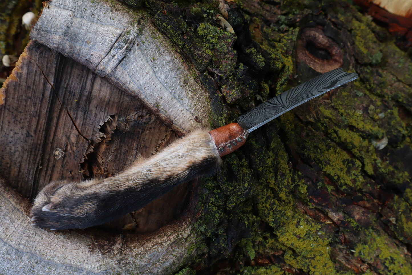 Damascus Red Fox Paw Cleaver