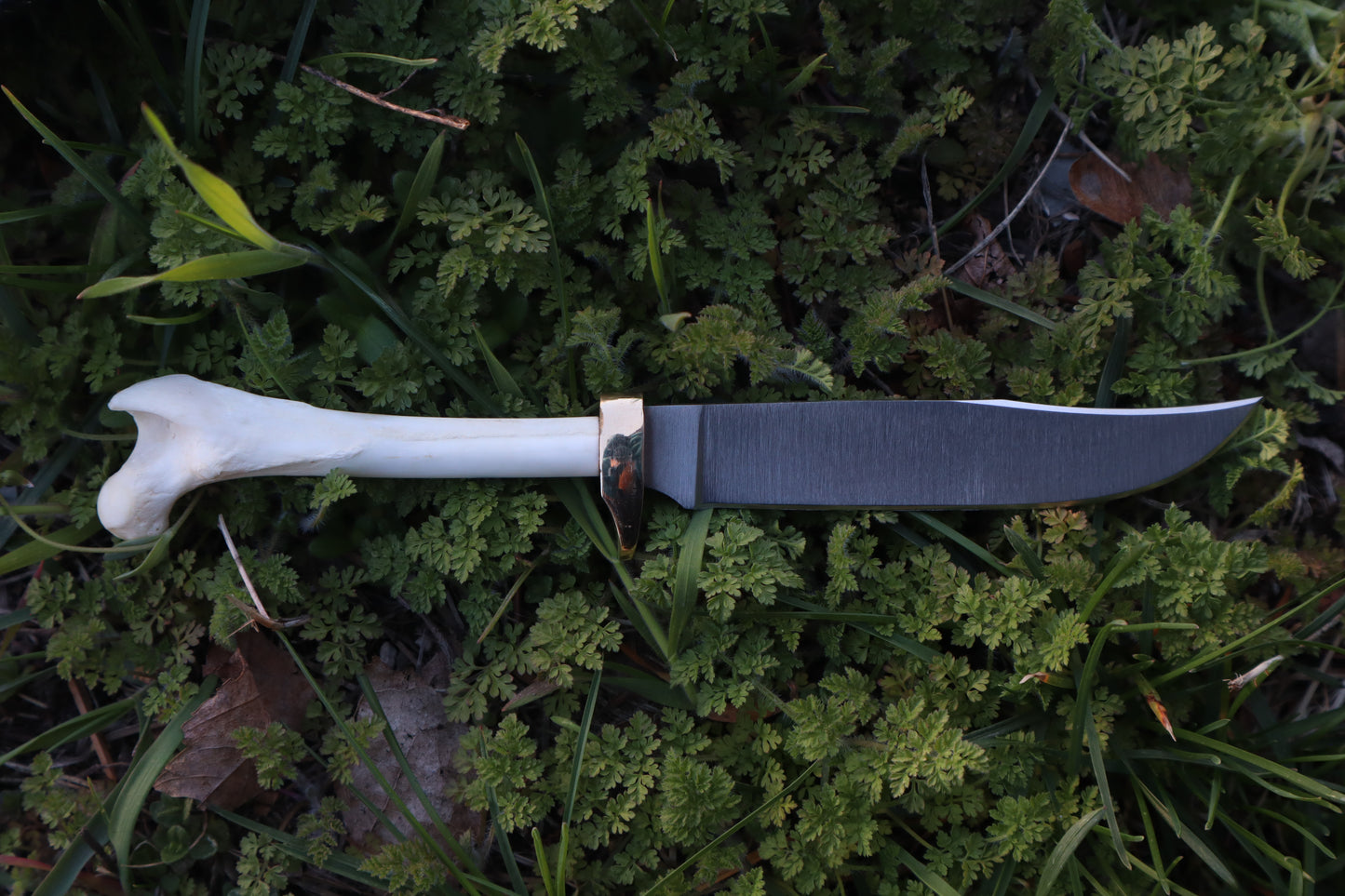Red Fox Femur Athame