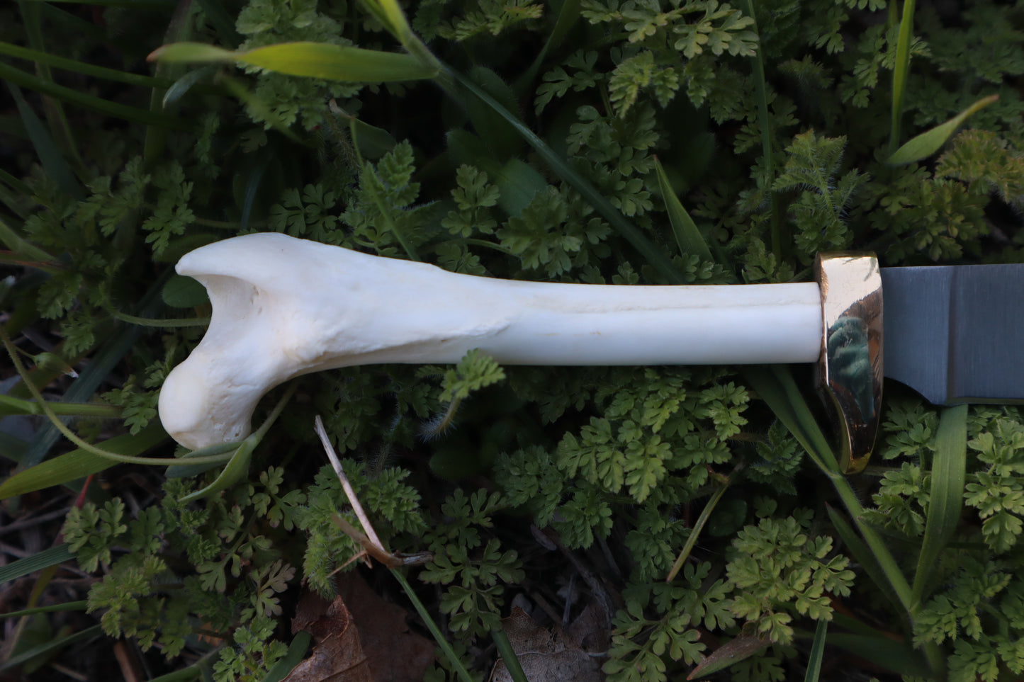 Red Fox Femur Athame