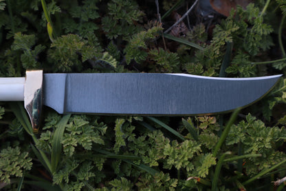 Red Fox Femur Athame
