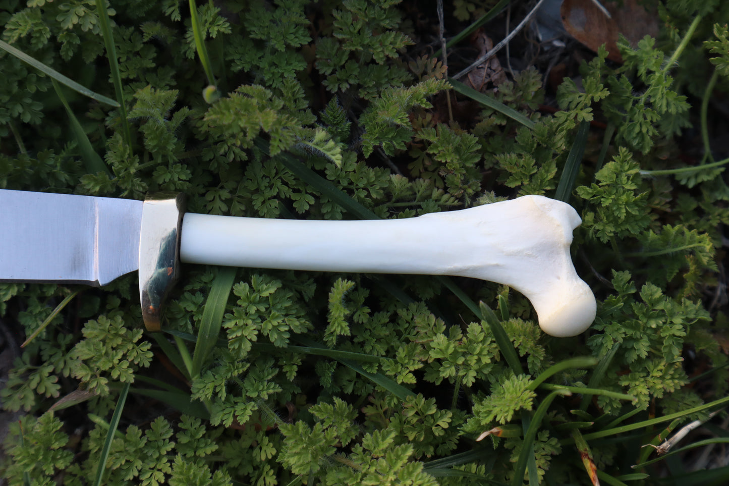 Red Fox Femur Athame