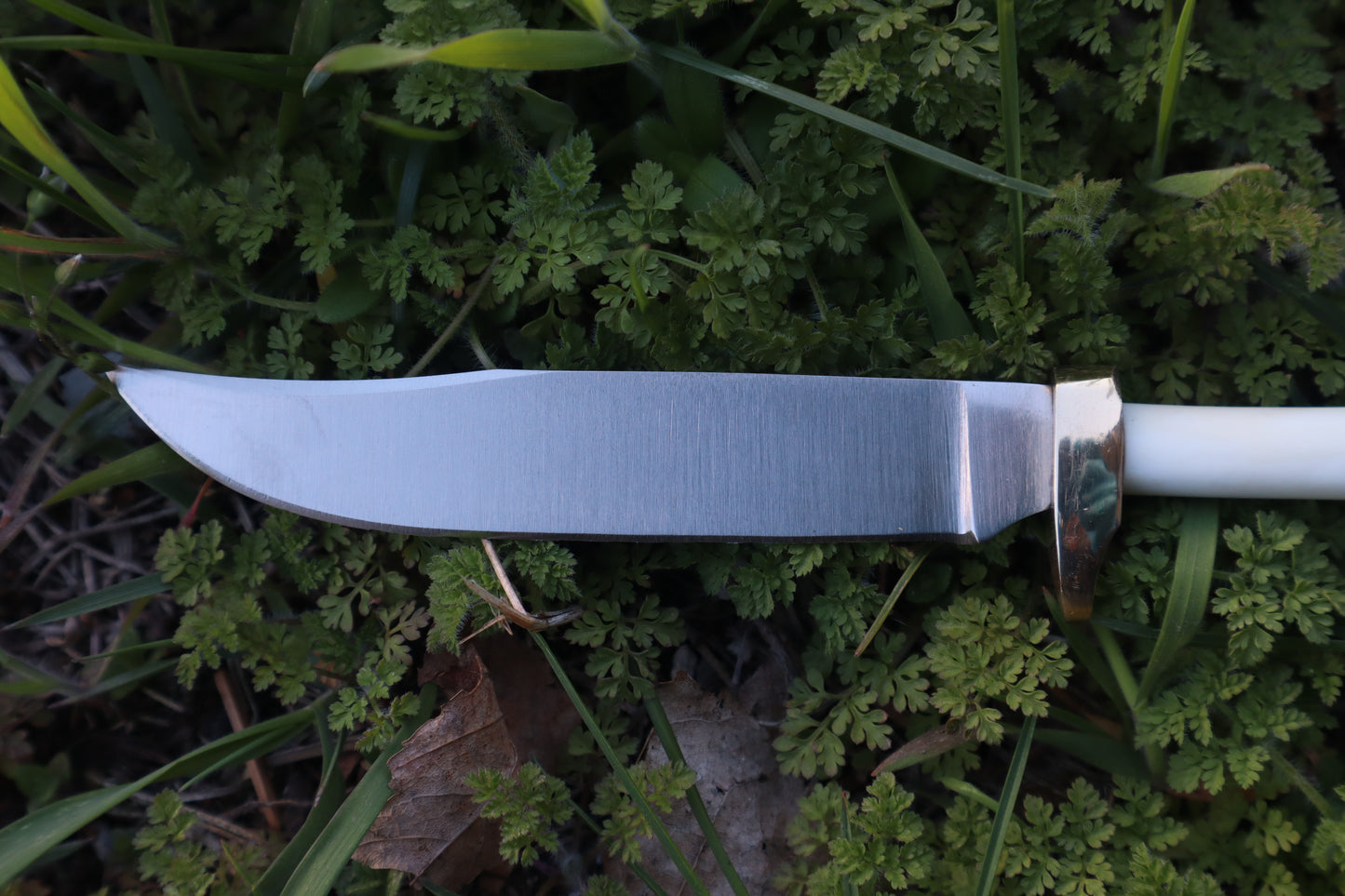 Red Fox Femur Athame
