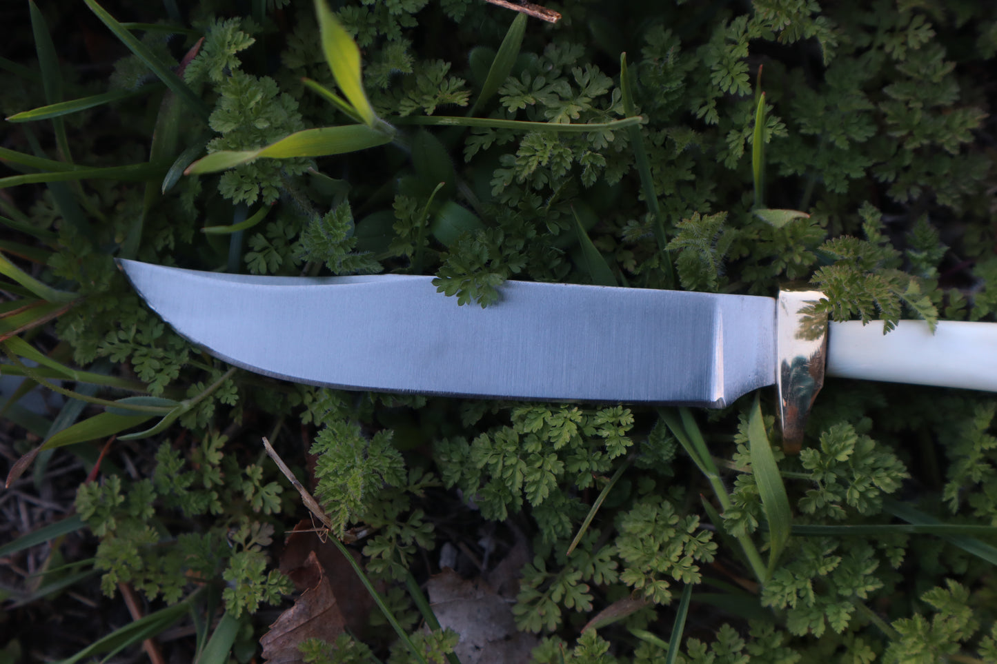 Red Fox Humerus Athame