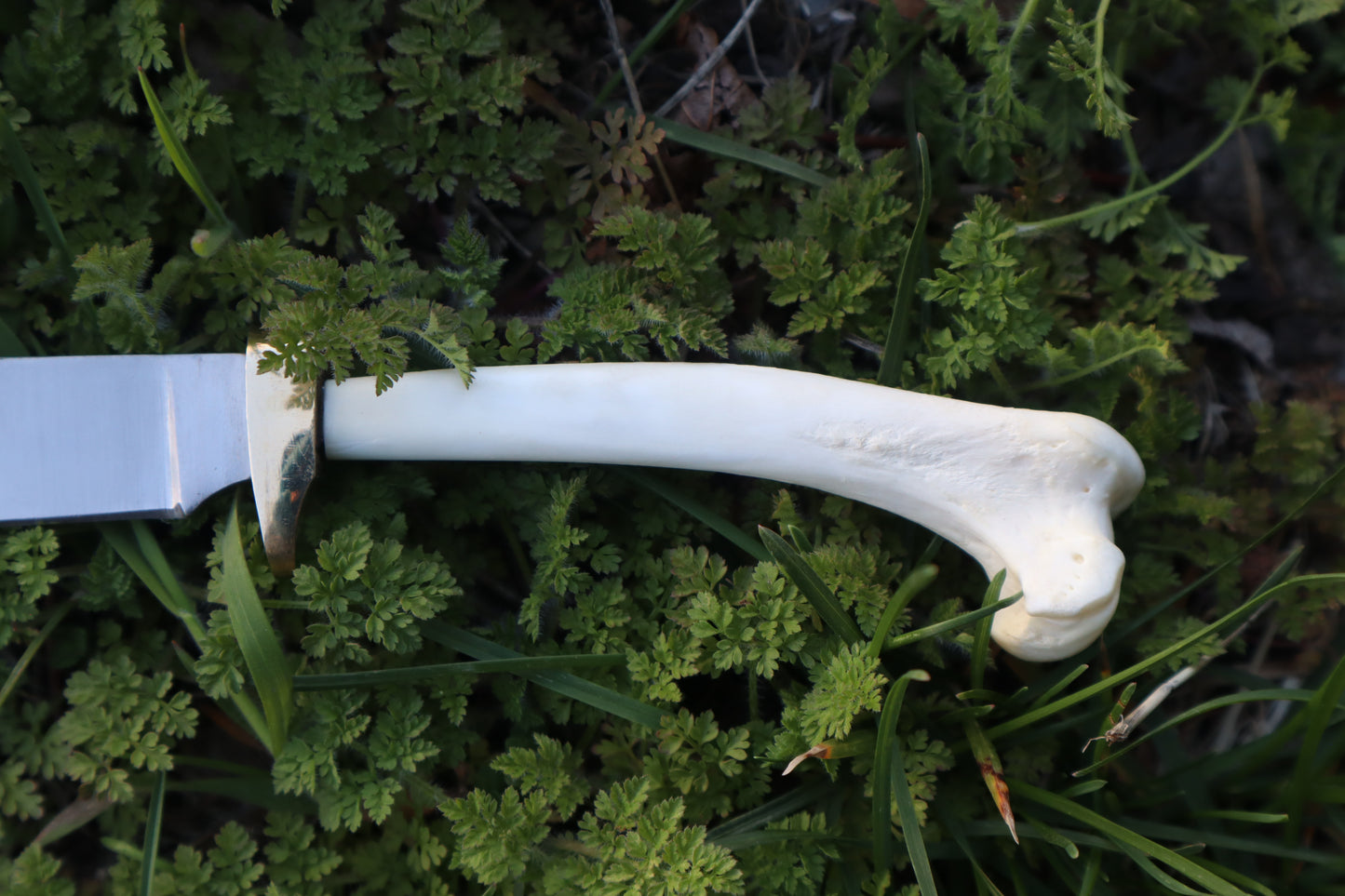 Red Fox Humerus Athame