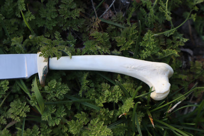 Red Fox Humerus Athame