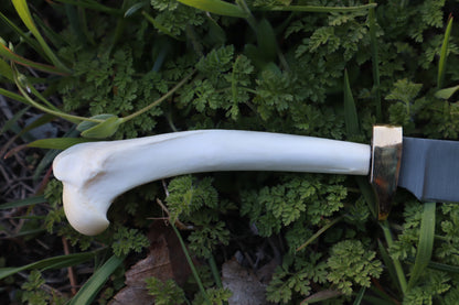 Red Fox Humerus Athame