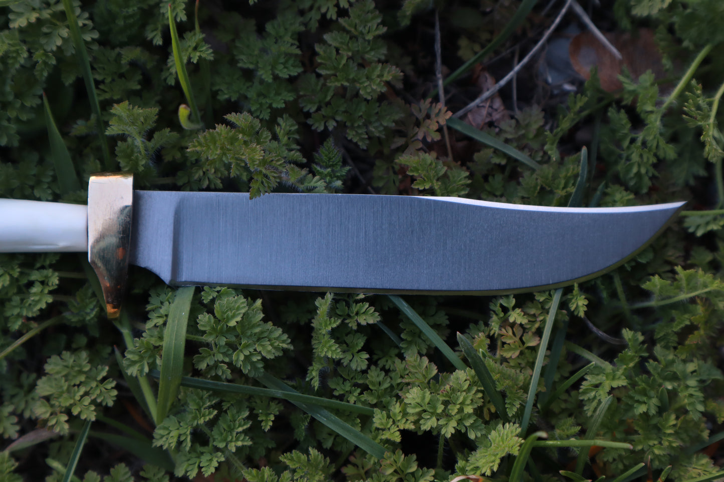 Red Fox Humerus Athame