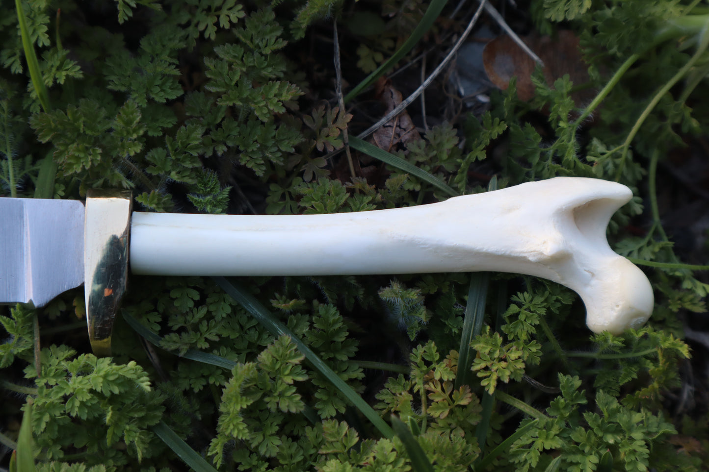 Red Fox Femur Athame