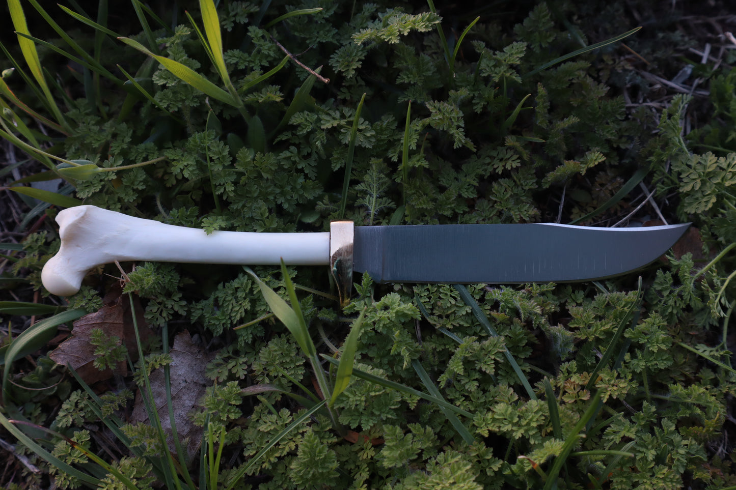 Red Fox Femur Athame