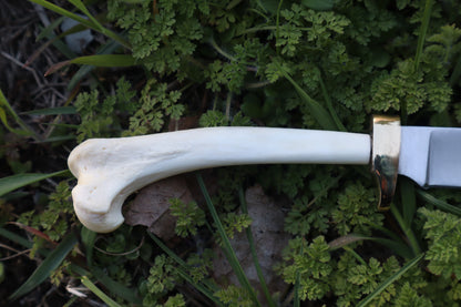 Red Fox Humerus Athame