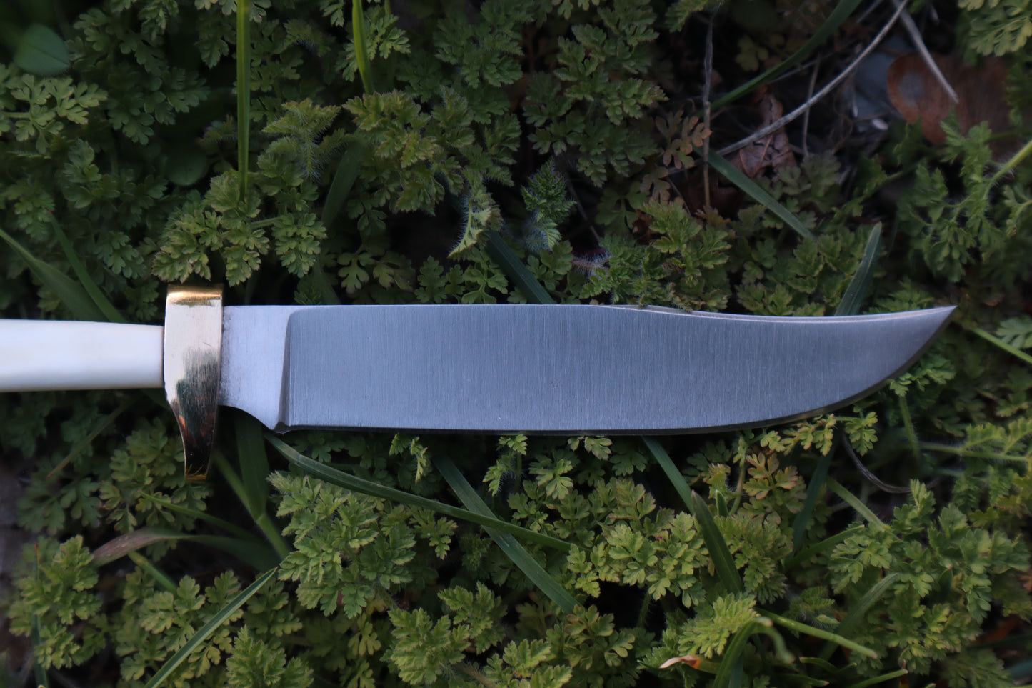 Red Fox Humerus Athame